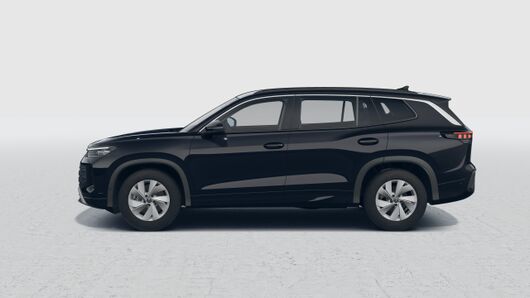 Tayron Life 1.5 eTSI DSG képe