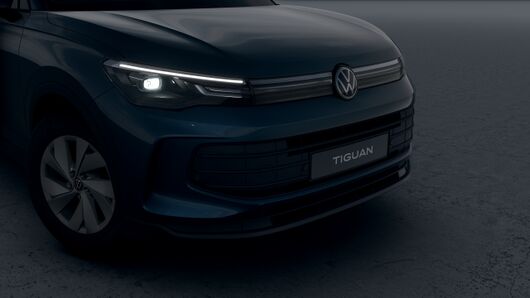 Tiguan Perfect 1.5 eTSI OPF DSG képe
