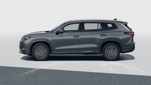 Image of a Tayron Elegance IQ.DRIVE