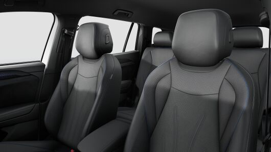 Image of a Tayron R-Line IQ.DRIVE