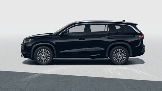 Image of a Tayron Elegance IQ.DRIVE