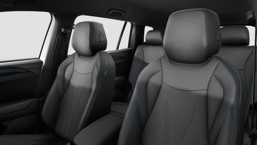 Image of a Tayron R-Line IQ.DRIVE