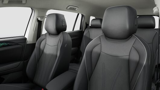 Image of a Tayron Elegance IQ.DRIVE