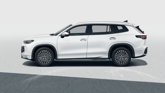 Image of a Tayron Elegance IQ.DRIVE