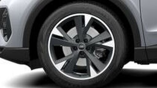 Jantes de liga leve 20'' com 5 raios em