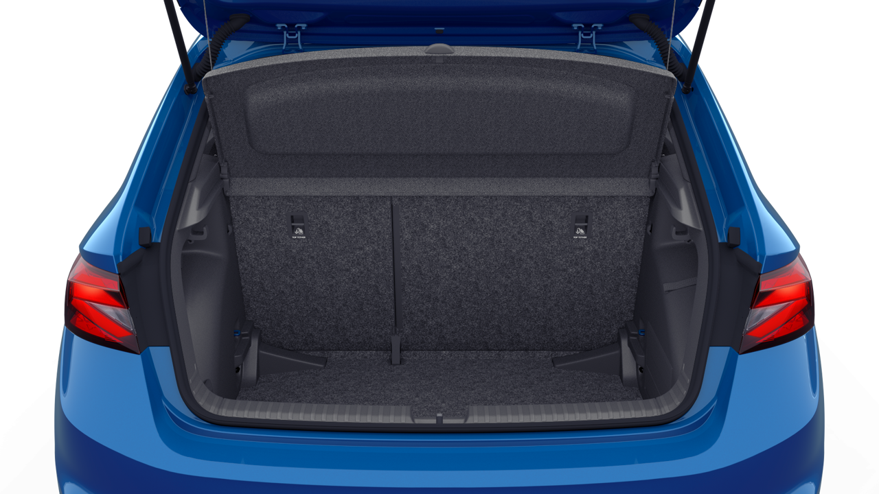 Imagem de um Fabia 1.0TSI 116c Monte Carlo Edition