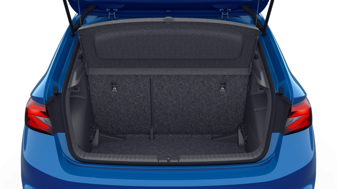 Imagem de um Fabia 1.0TSI 116c Monte Carlo Edition