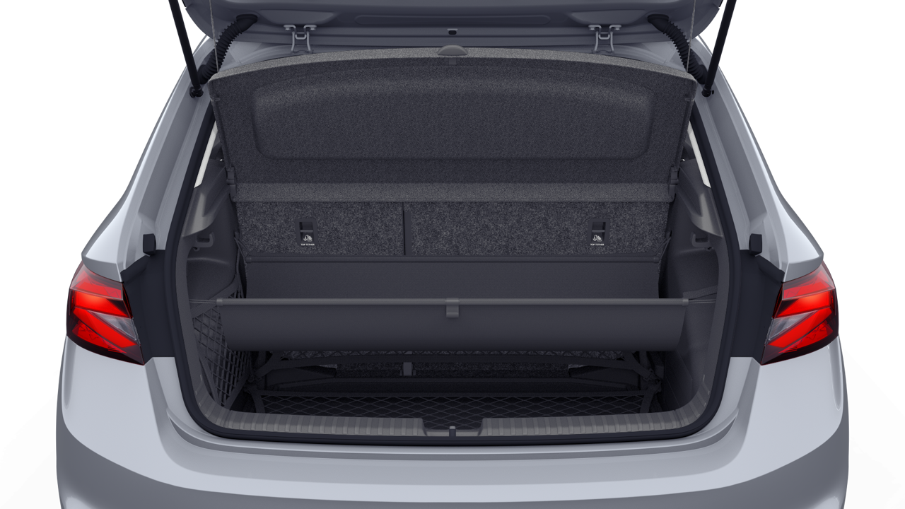 Imagem de um Fabia 1.0TSI 116cv DSG