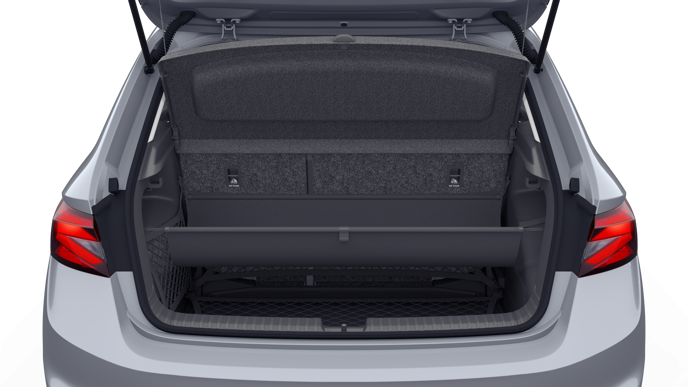 Imagem de um Fabia 1.0TSI 116cv DSG