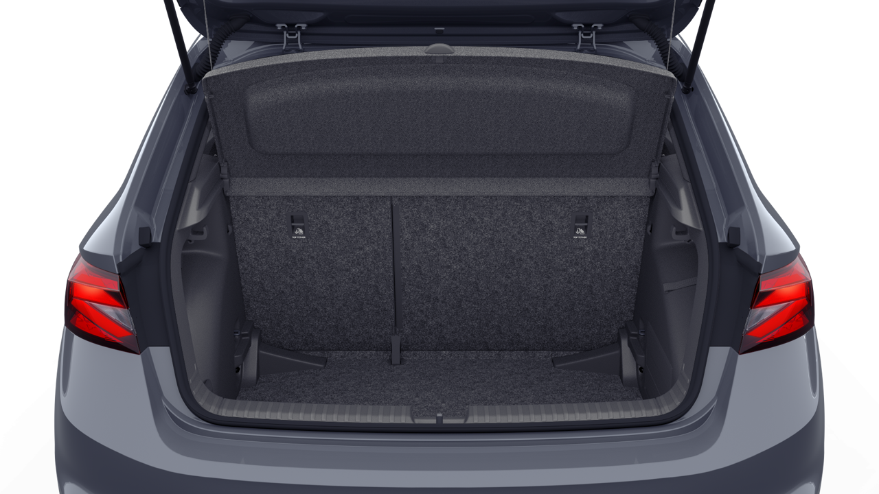 Imagem de um Fabia Selection1.0TSI 116cv DSG