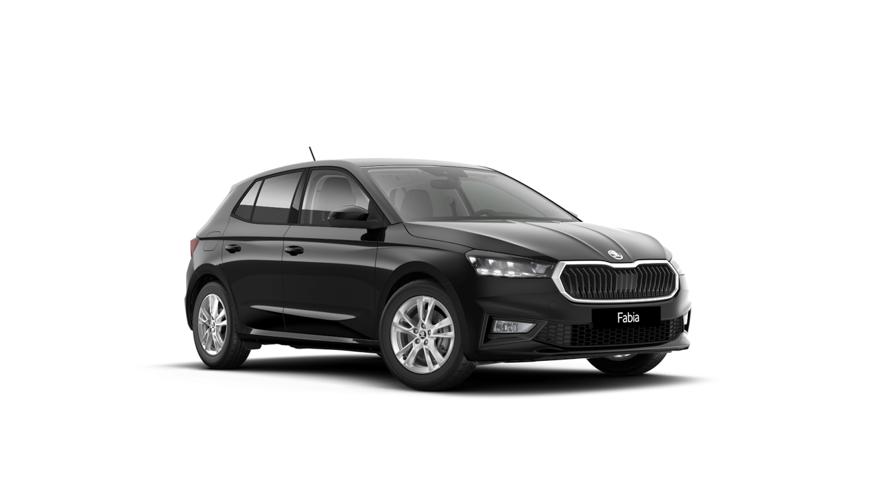 Imagem de um Fabia Selection1.0TSI 116cv DSG