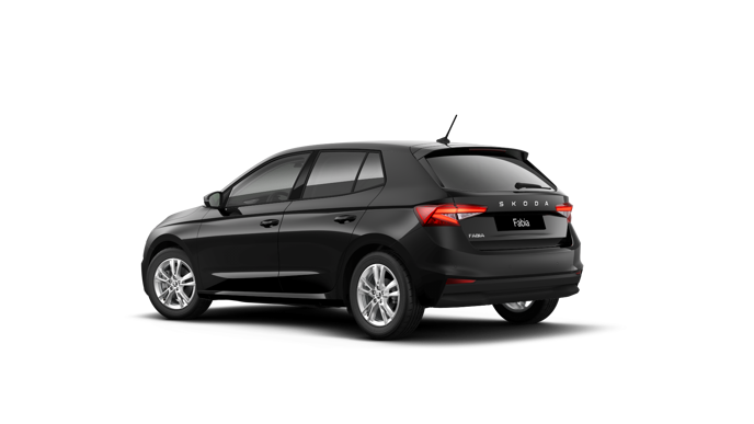 Imagem de um Fabia Selection1.0TSI 116cv DSG