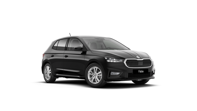 Imagem de um Fabia Selection1.0TSI 116cv DSG