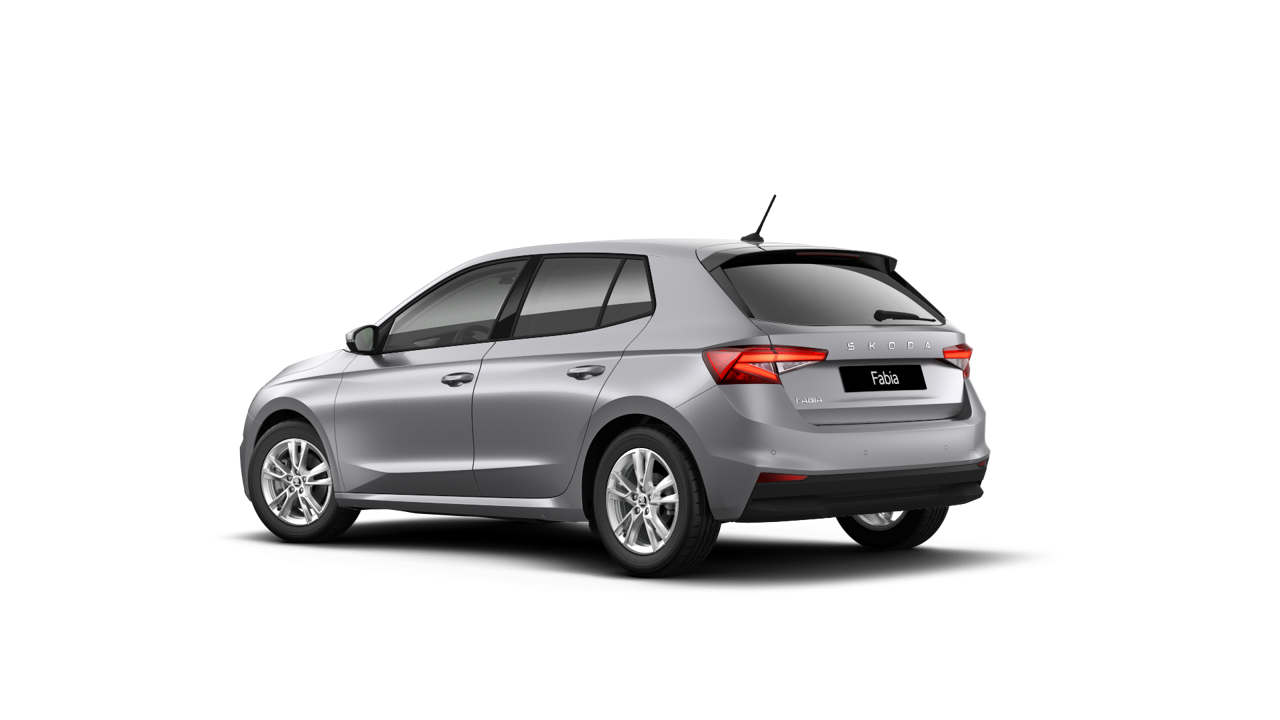 Imagem de um Fabia Selection1.0TSI 116cv DSG