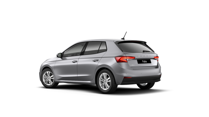 Imagem de um Fabia Selection1.0TSI 116cv DSG