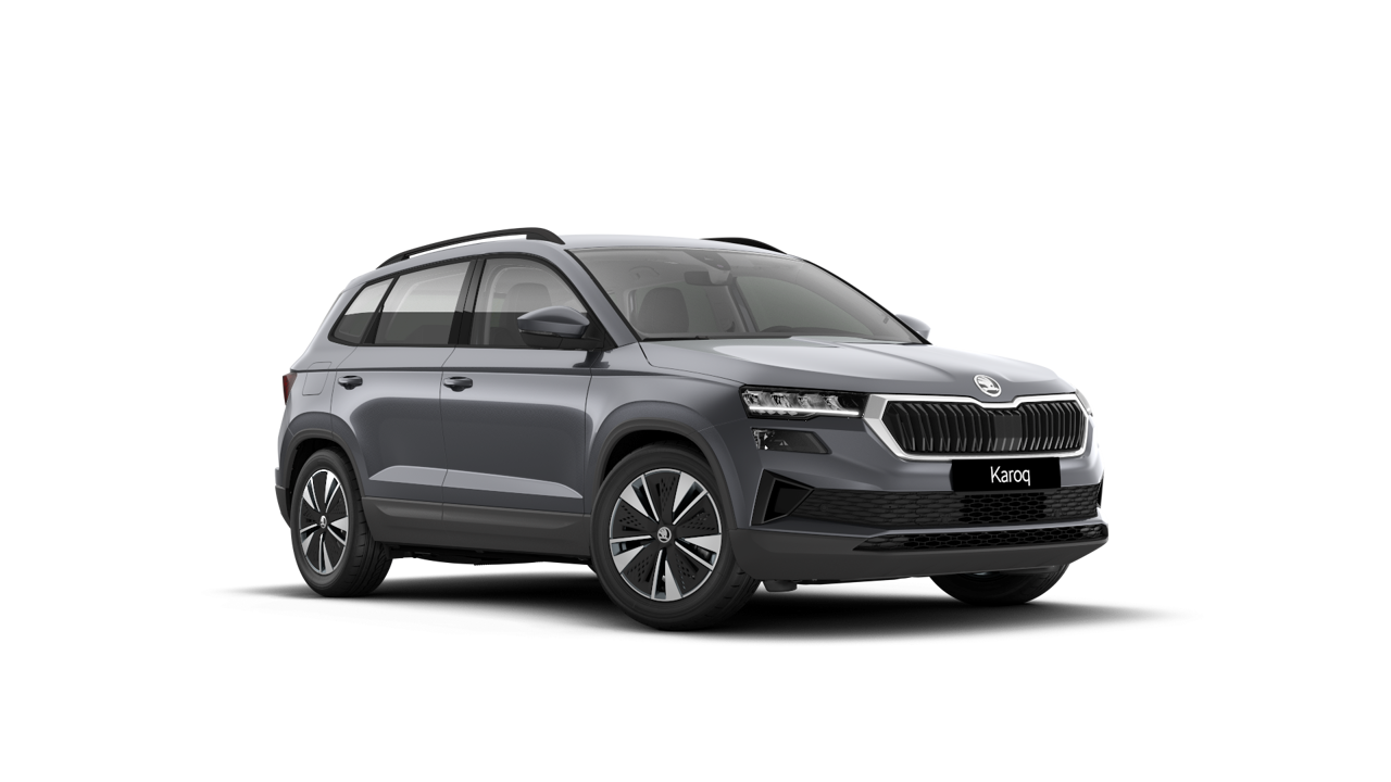Imagem de um Karoq Selection 2.0 TDI 116cv