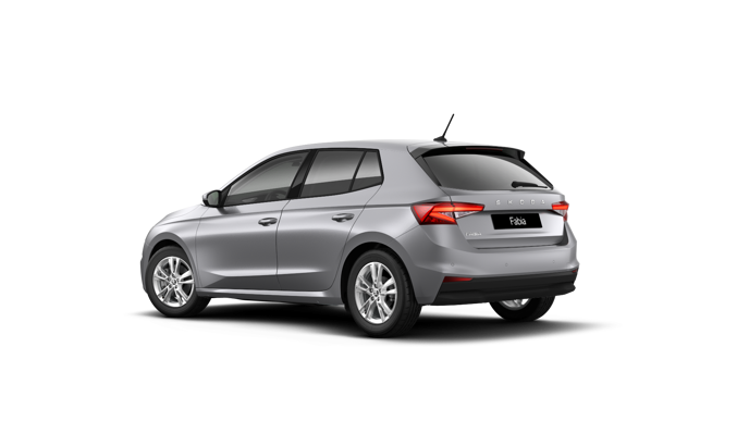 Imagem de um Fabia Selection1.0TSI 116cv DSG