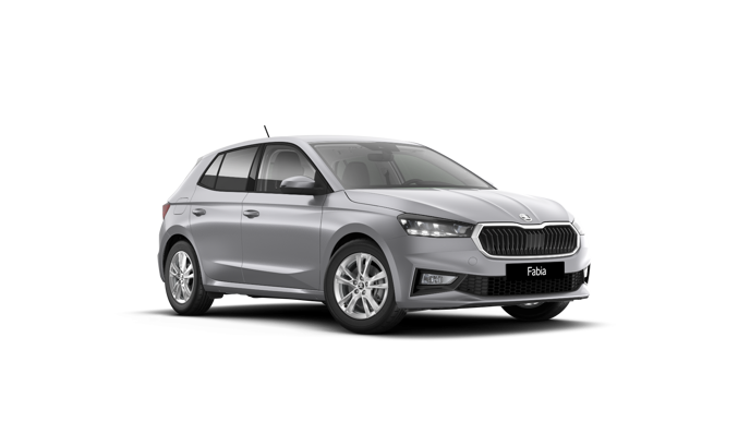 Imagem de um Fabia Selection1.0TSI 116cv DSG