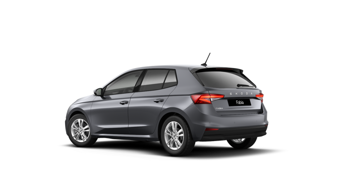 Imagem de um Fabia Selection1.0TSI 116cv DSG
