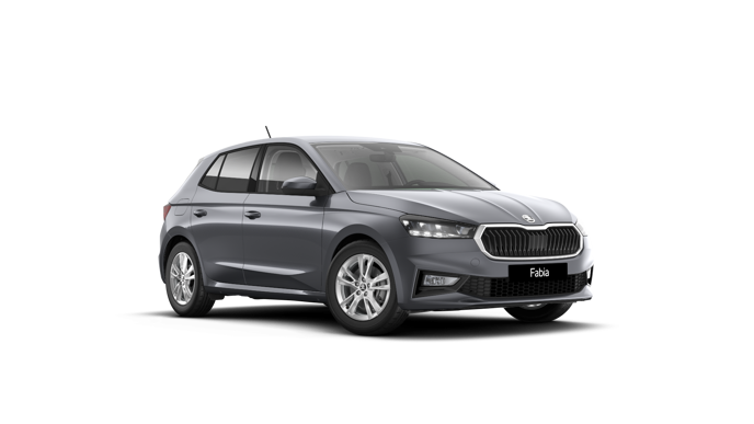 Imagem de um Fabia Selection1.0TSI 116cv DSG