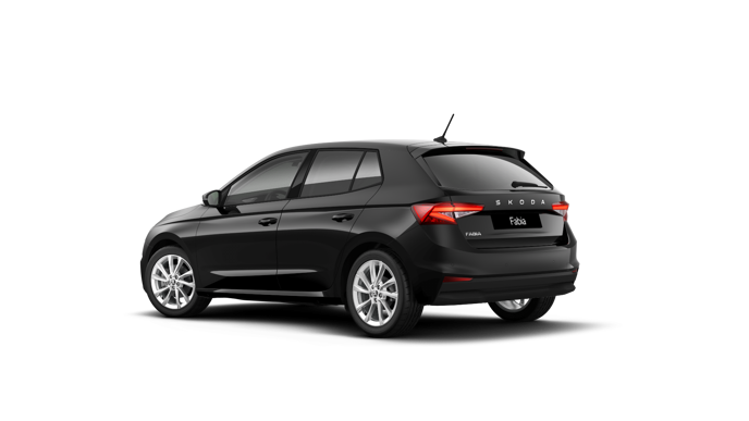 Imagem de um Fabia Selection1.0TSI 116cv DSG