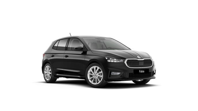 Imagem de um Fabia Selection1.0TSI 116cv DSG