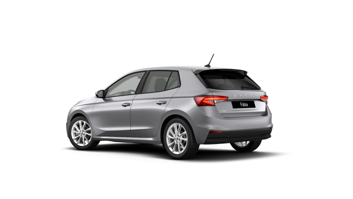 Imagem de um Fabia Selection1.0TSI 116cv DSG