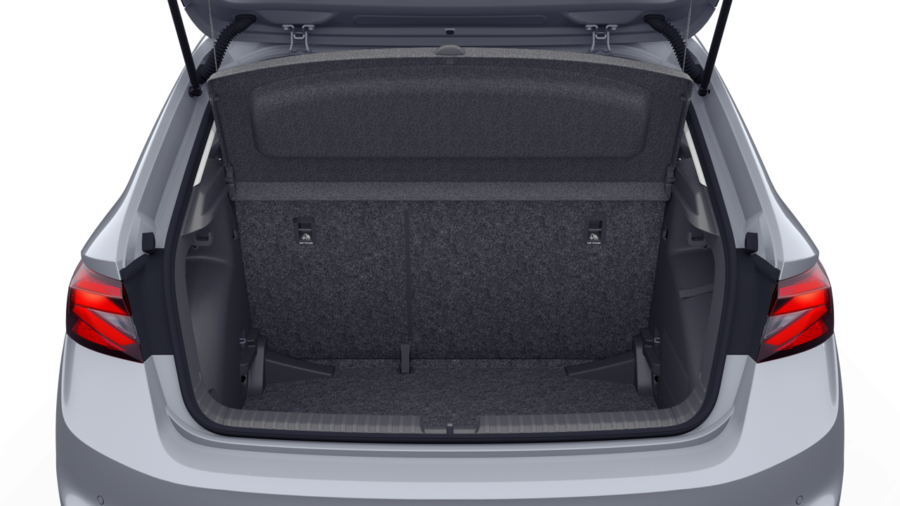 Imagem de um Fabia Selection1.0TSI 116cv DSG