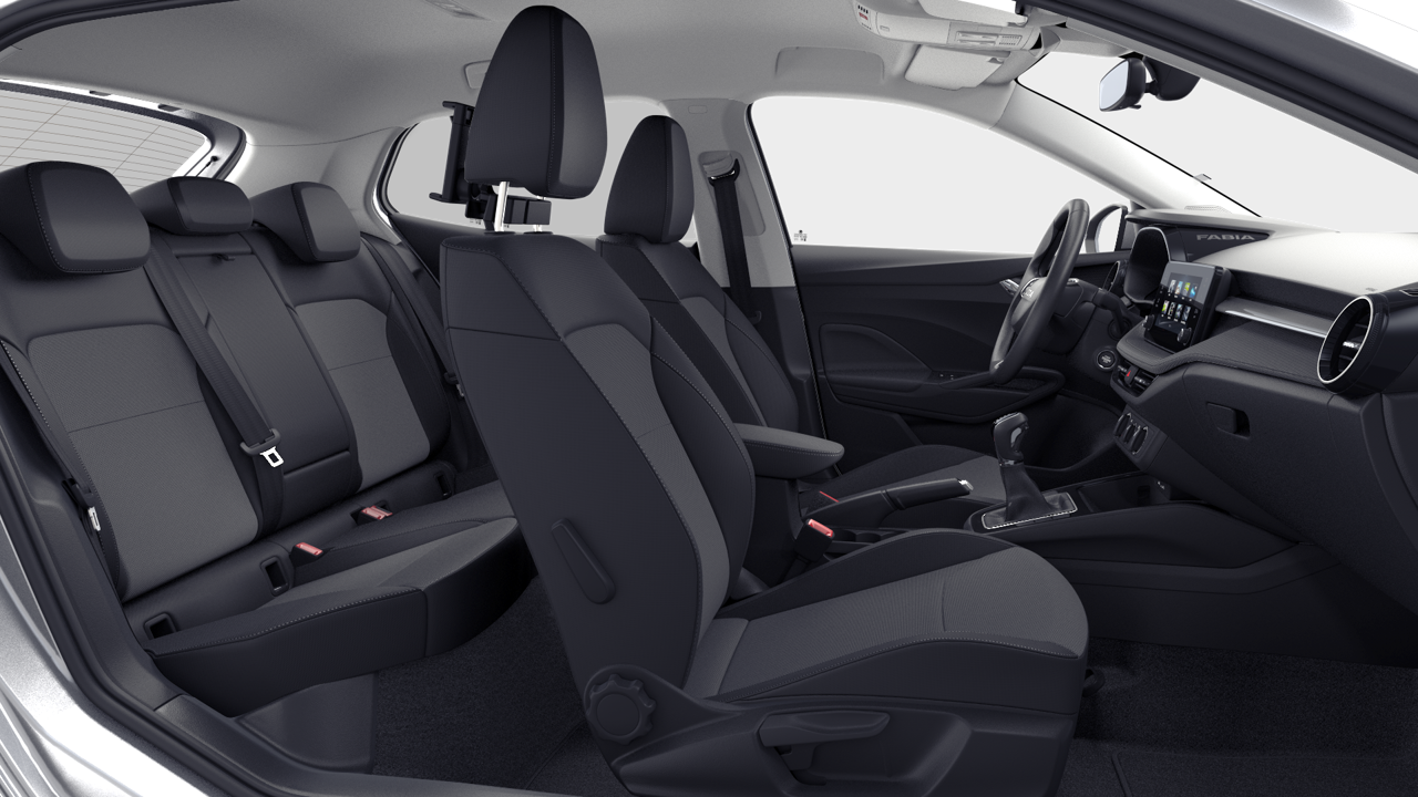 Imagem de um Fabia Selection1.0TSI 116cv DSG