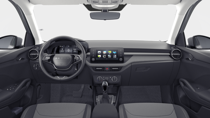 Imagem de um Fabia Selection1.0TSI 116cv DSG