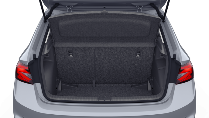 Imagem de um Fabia Selection1.0TSI 116cv DSG