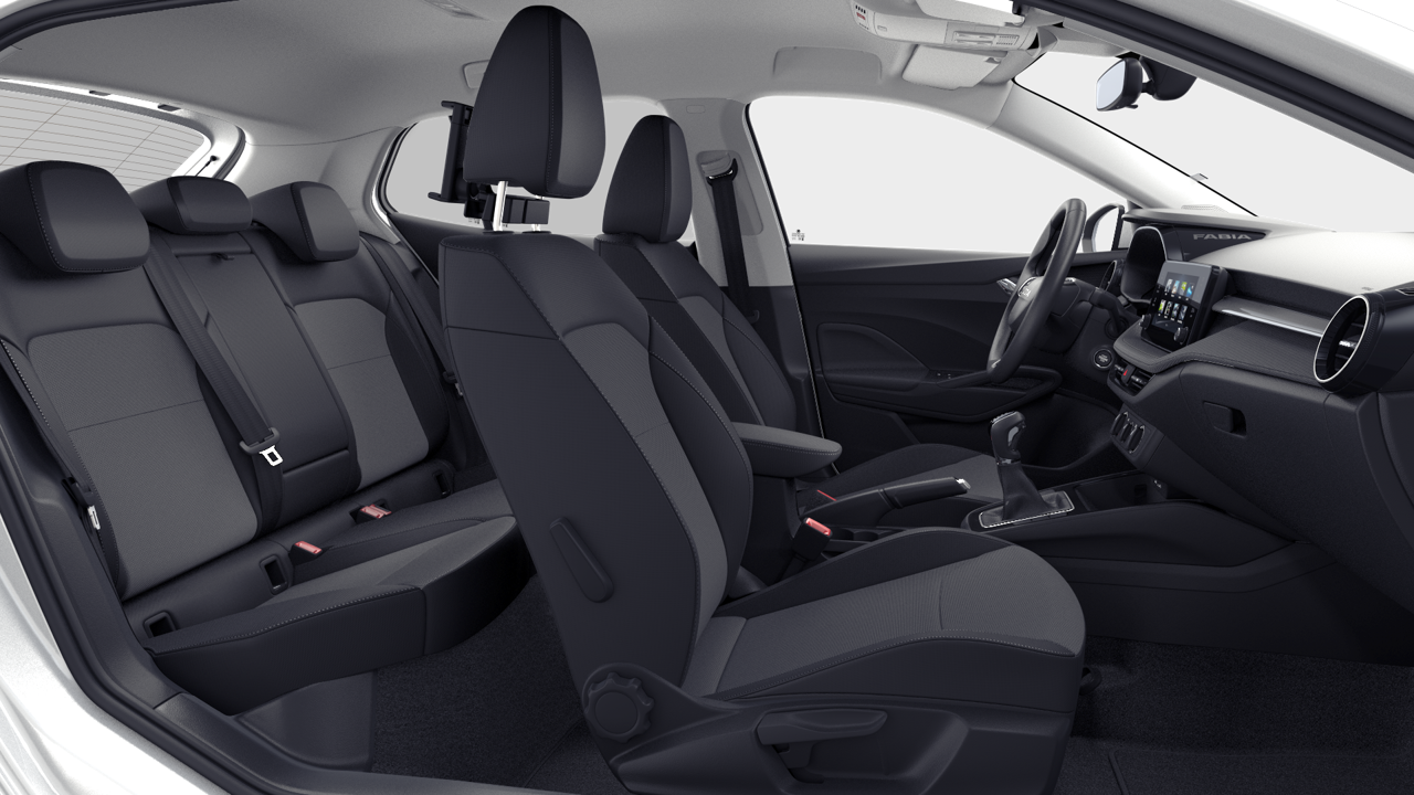 Imagem de um Fabia Selection1.0TSI 116cv DSG