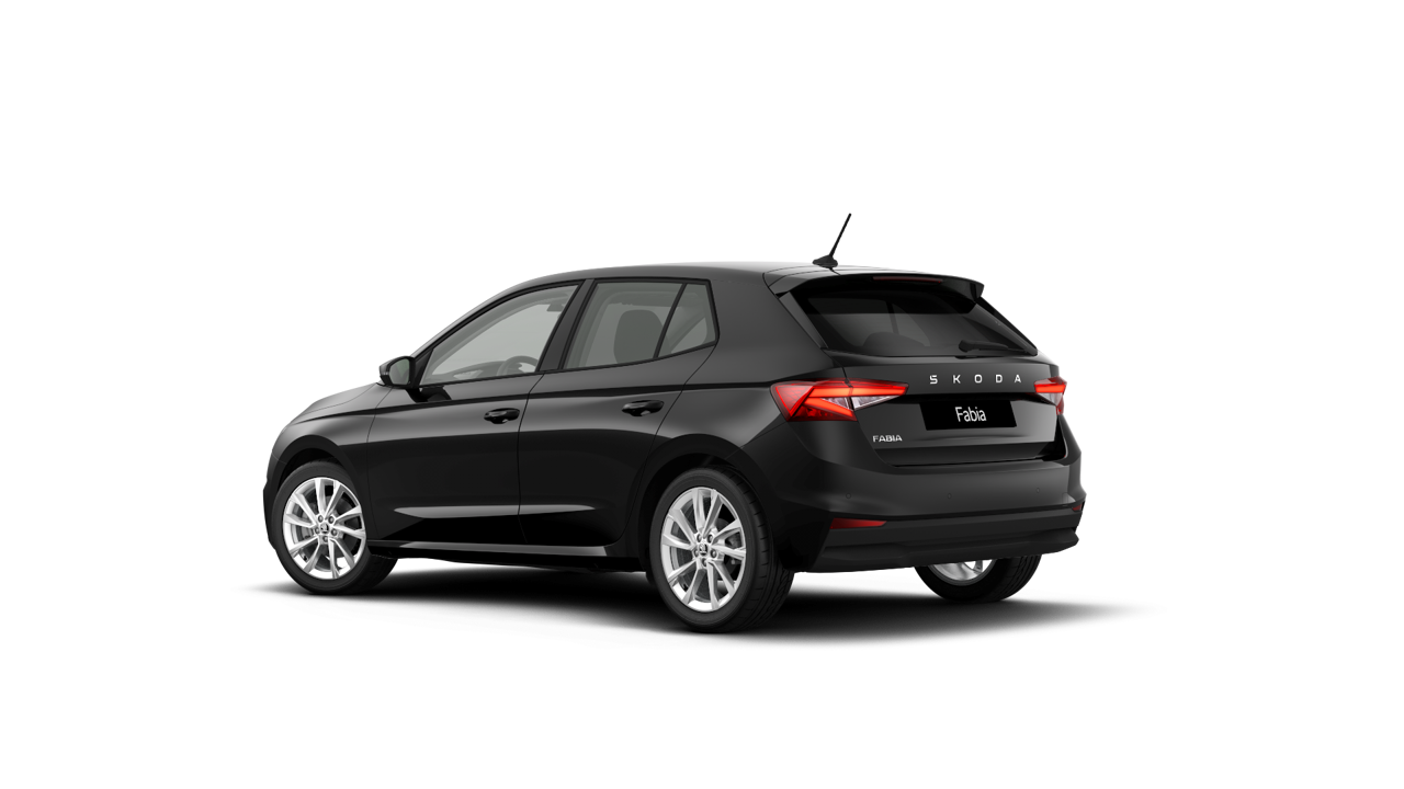 Imagem de um Fabia Selection1.0TSI 116cv DSG