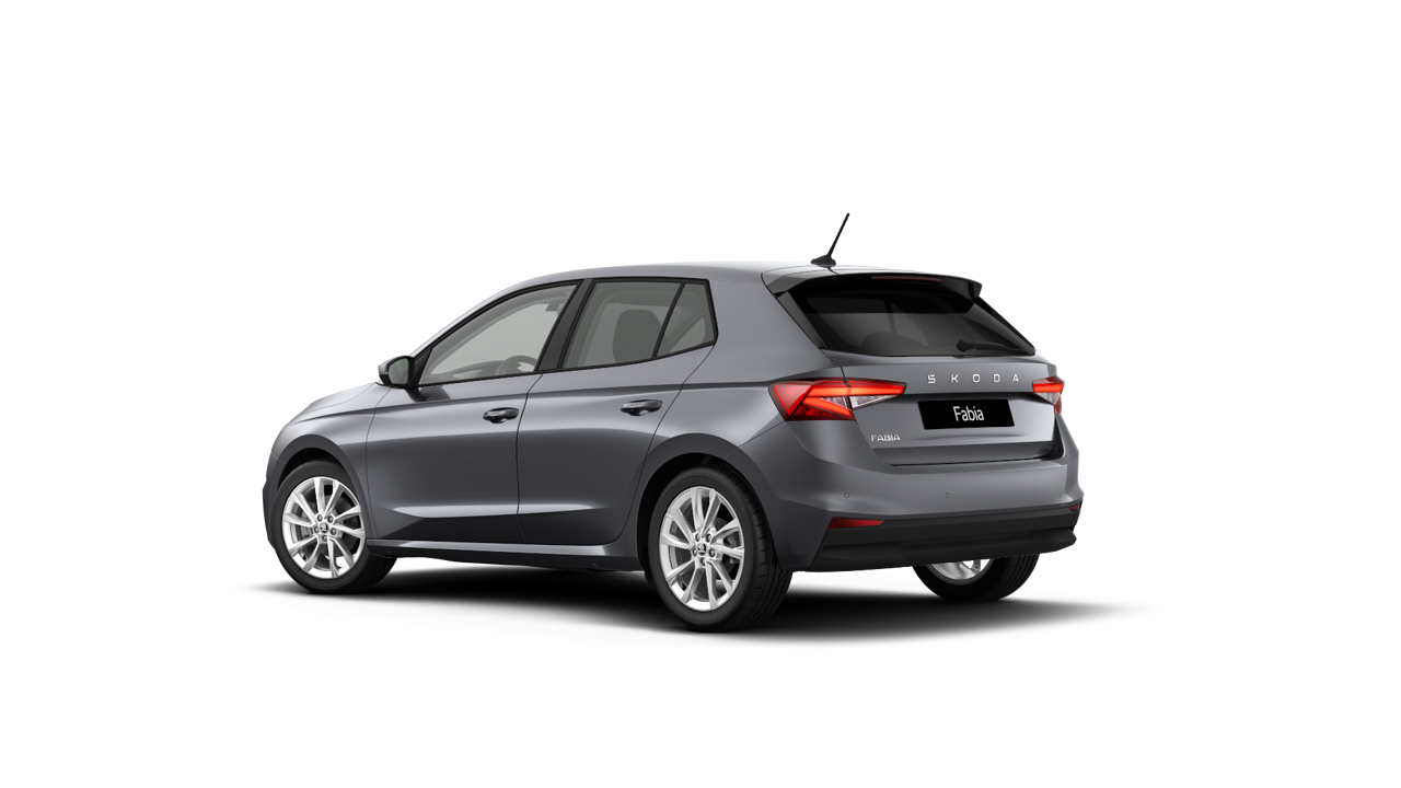 Imagem de um Fabia Selection1.0TSI 116cv DSG