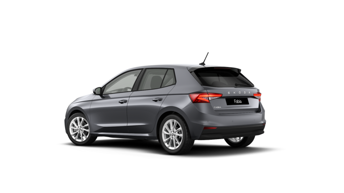 Imagem de um Fabia Selection1.0TSI 116cv DSG