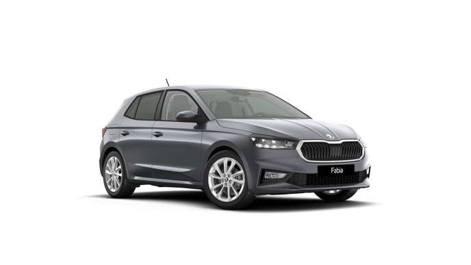 Imagem de um Fabia Selection1.0TSI 116cv DSG