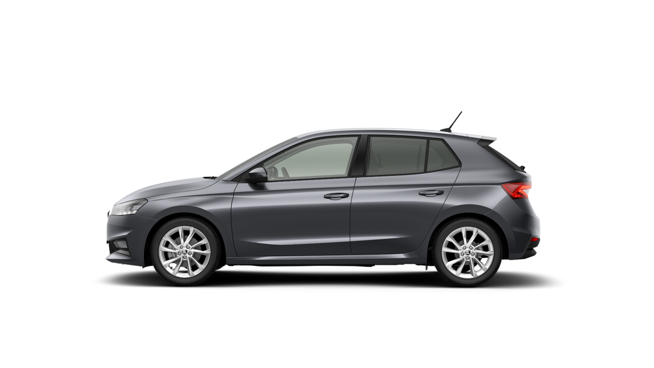 Imagem de um Fabia Selection1.0TSI 116cv DSG