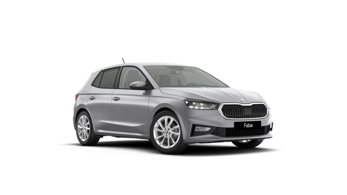 Imagem de um Fabia Selection1.0TSI 116cv DSG