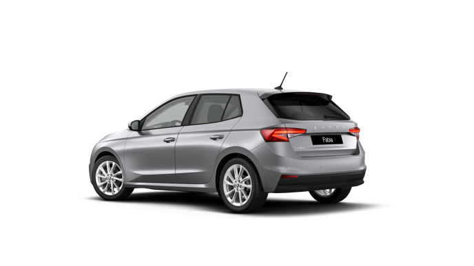 Imagem de um Fabia Selection1.0TSI 116cv DSG