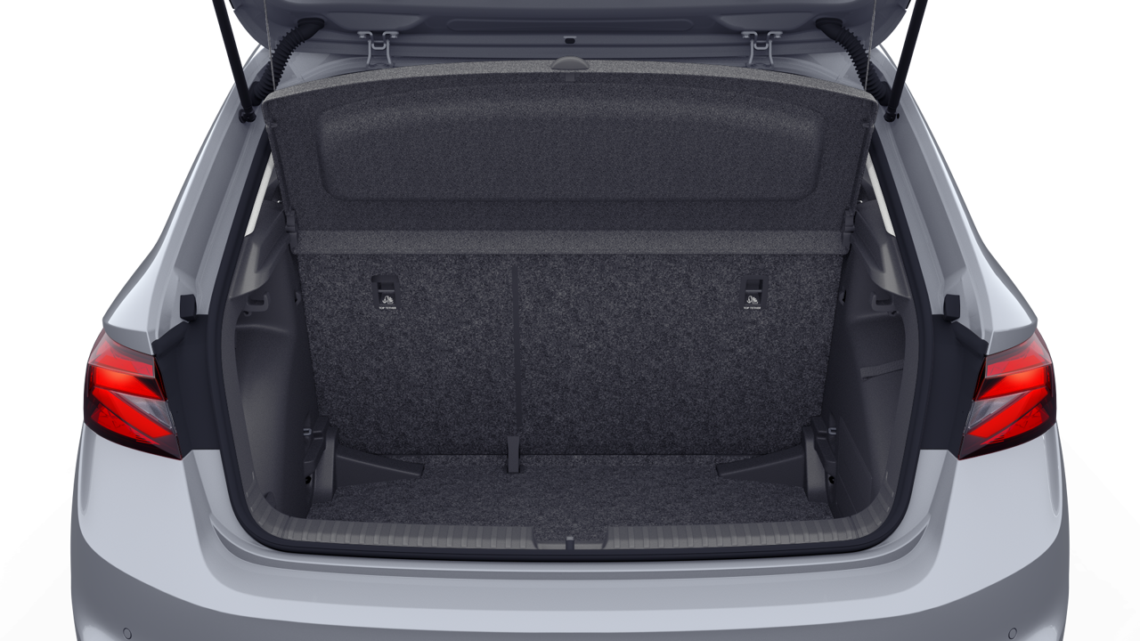 Imagem de um Fabia Selection1.0TSI 116cv DSG