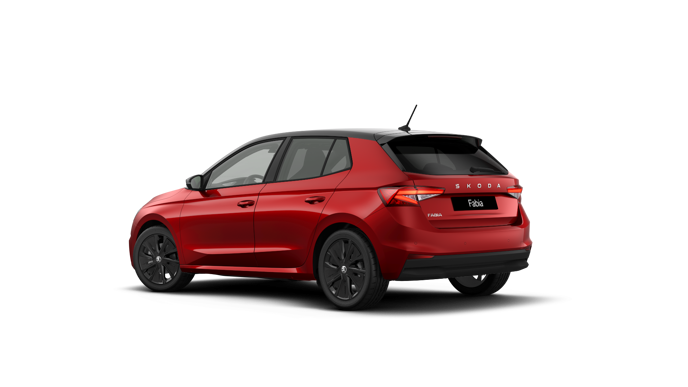 Imagem de um Fabia Selection1.0TSI 116cv DSG