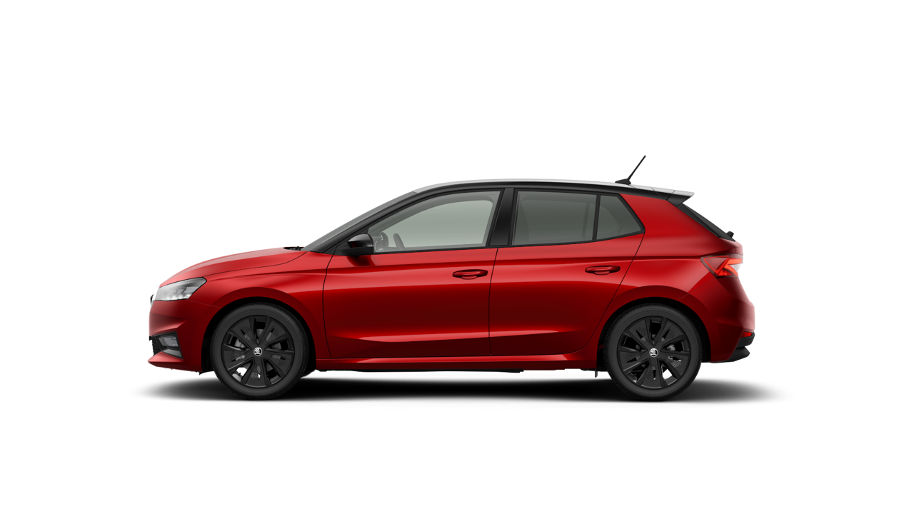 Imagem de um Fabia Selection1.0TSI 116cv DSG