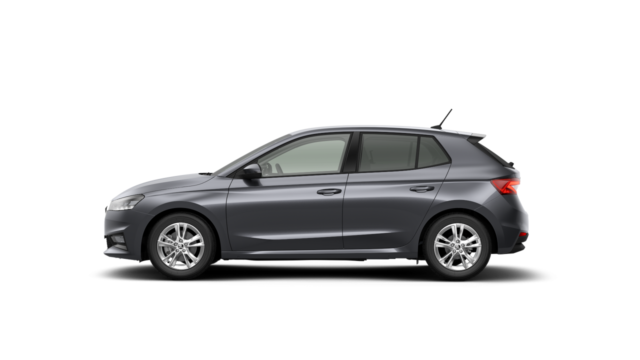 Imagem de um Fabia Selection1.0TSI 116cv DSG