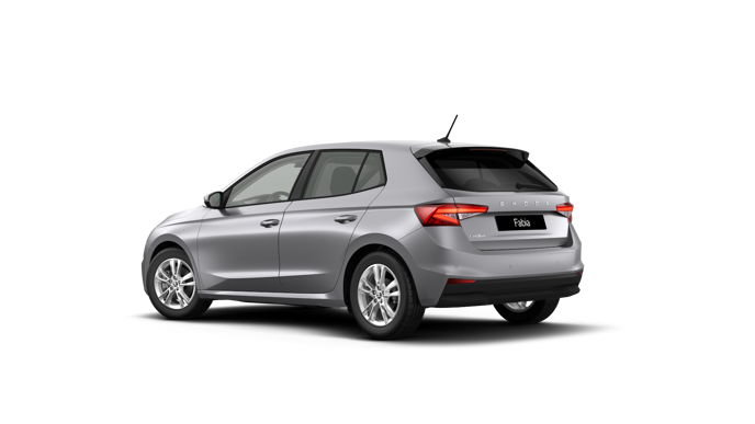 Imagem de um Fabia Selection1.0TSI 116cv DSG