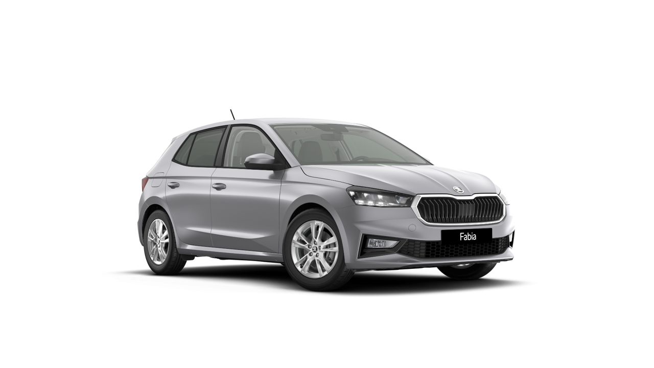 Imagem de um Fabia Selection1.0TSI 116cv DSG