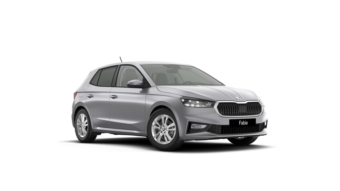 Imagem de um Fabia Selection1.0TSI 116cv DSG