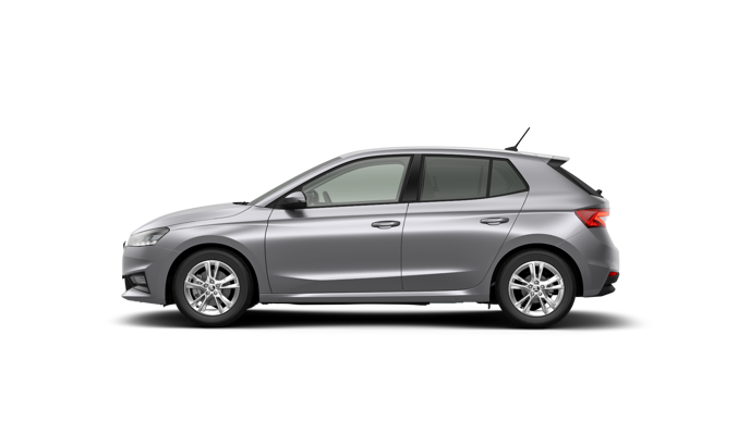 Imagem de um Fabia Selection1.0TSI 116cv DSG