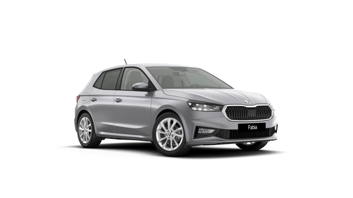 Imagem de um Fabia Selection1.0TSI 116cv DSG