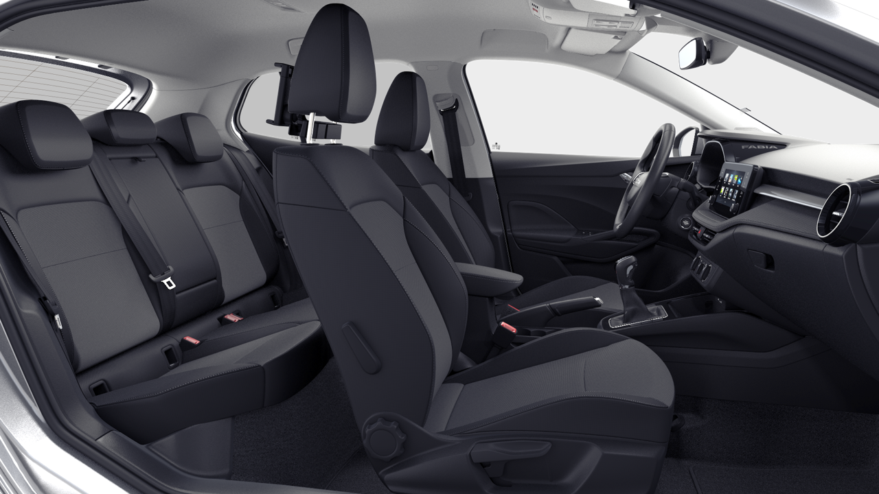 Imagem de um Fabia Selection1.0TSI 116cv DSG