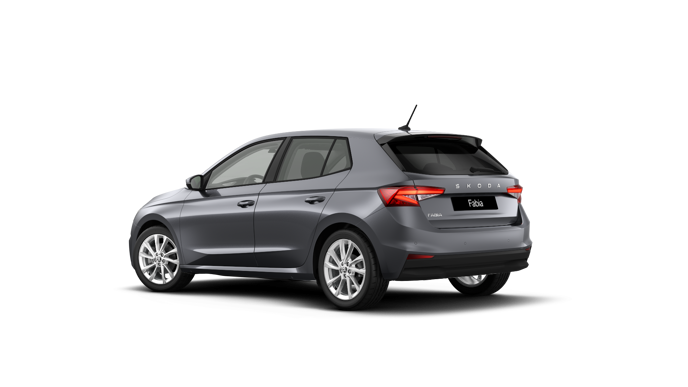 Imagem de um Fabia Selection1.0TSI 116cv DSG